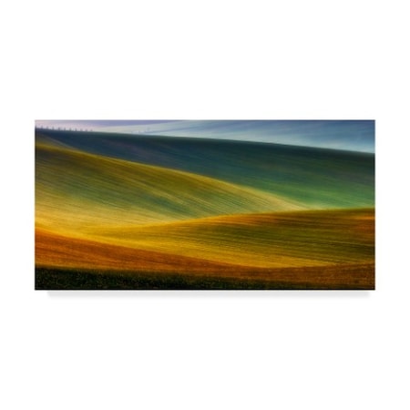 Piotr Krol 'Green Spring Fields' Canvas Art,16x32